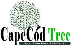 Cape Cod Tree Service