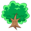 Tree Removal