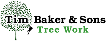 Cape Cod Tree Service